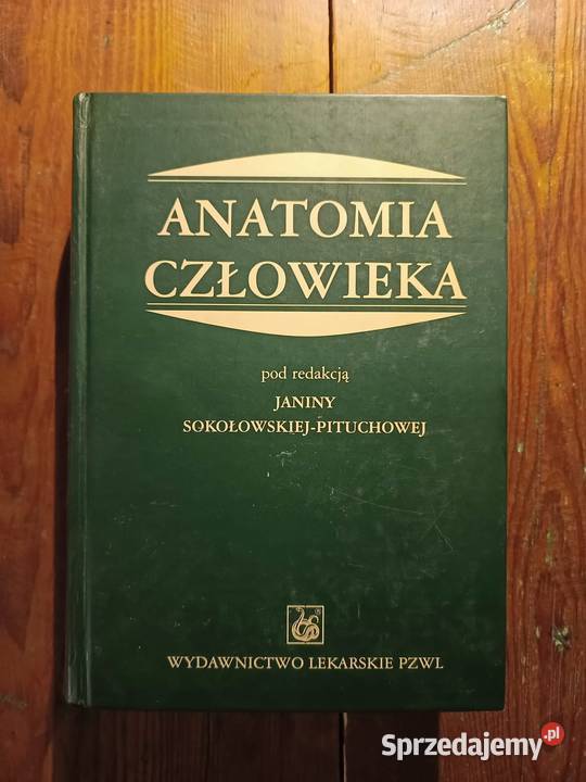 Anatomia człowieka pod redakcją Sokołowskiej Książki naukowe i popularnonaukowe mazowieckie Warszawa