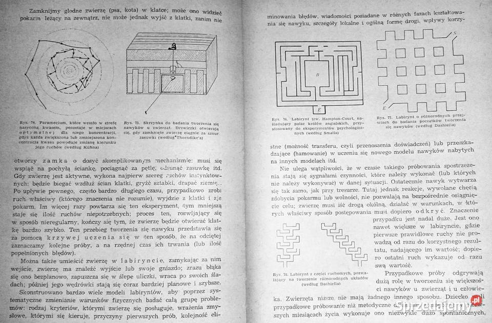 Podręcznik psychologii Paul Guillaume lubelskie Chełm
