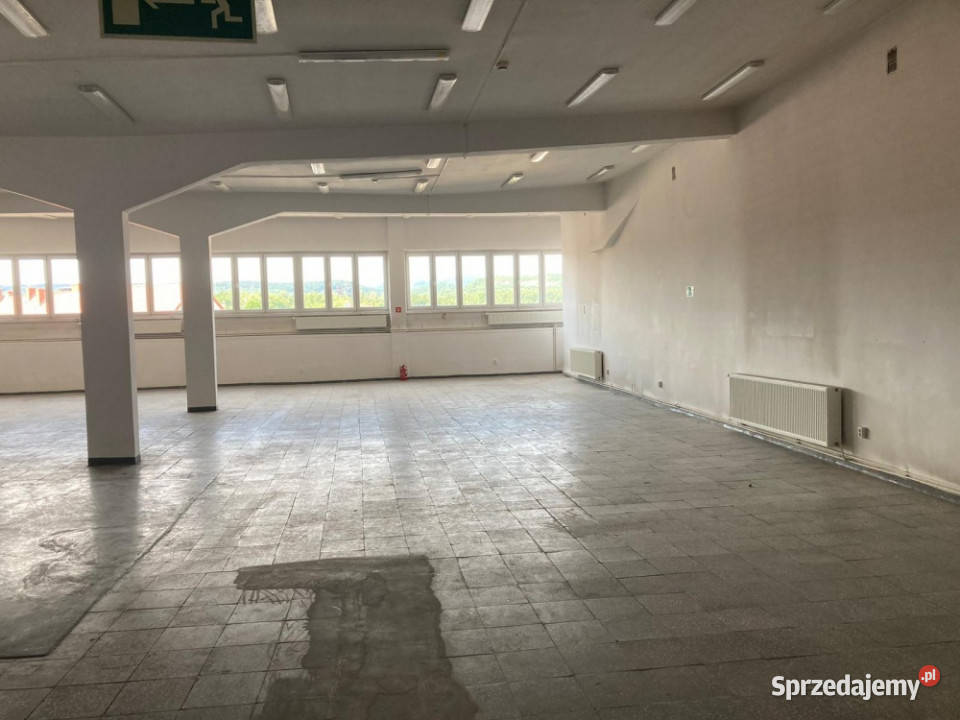 wynajmę lokal użytkowy w centrum Wałbrzycha Wynajem Lokale użytkowe Wałbrzych sprzedam
