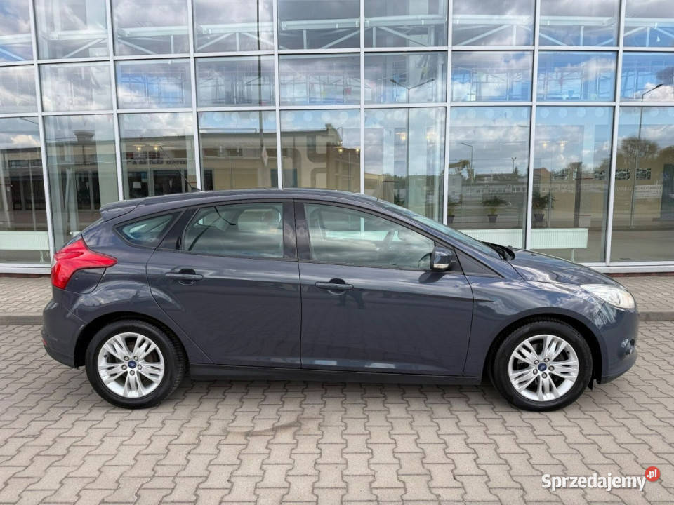 Ford Focus Ford Focus 16 TDCi DPF Champions mazowieckie Gostynin