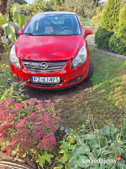 Sprzedam Opla Corse Luboń