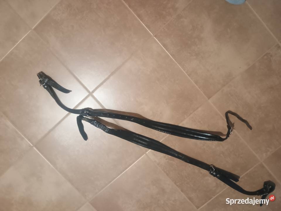 Akordenon Pasy nosne Nowa Dęba