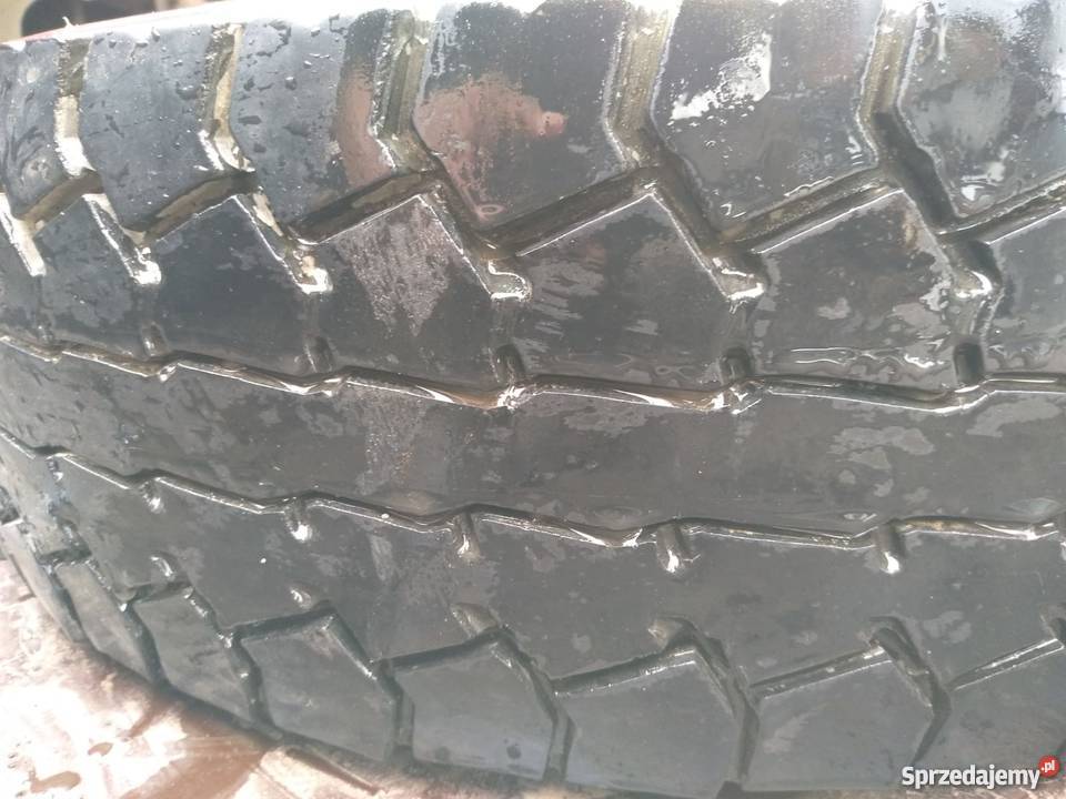 OPONA 21575 R175 PIRELLI BIEŻNIK 9MM PIRELLI TE Opony Rzędowice