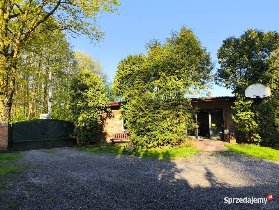 Seminarium groomerów NOWOFUNDLAND Duży Dół