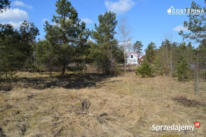 Sprzedam działka Parchowo 1312m2 Sprzedaż