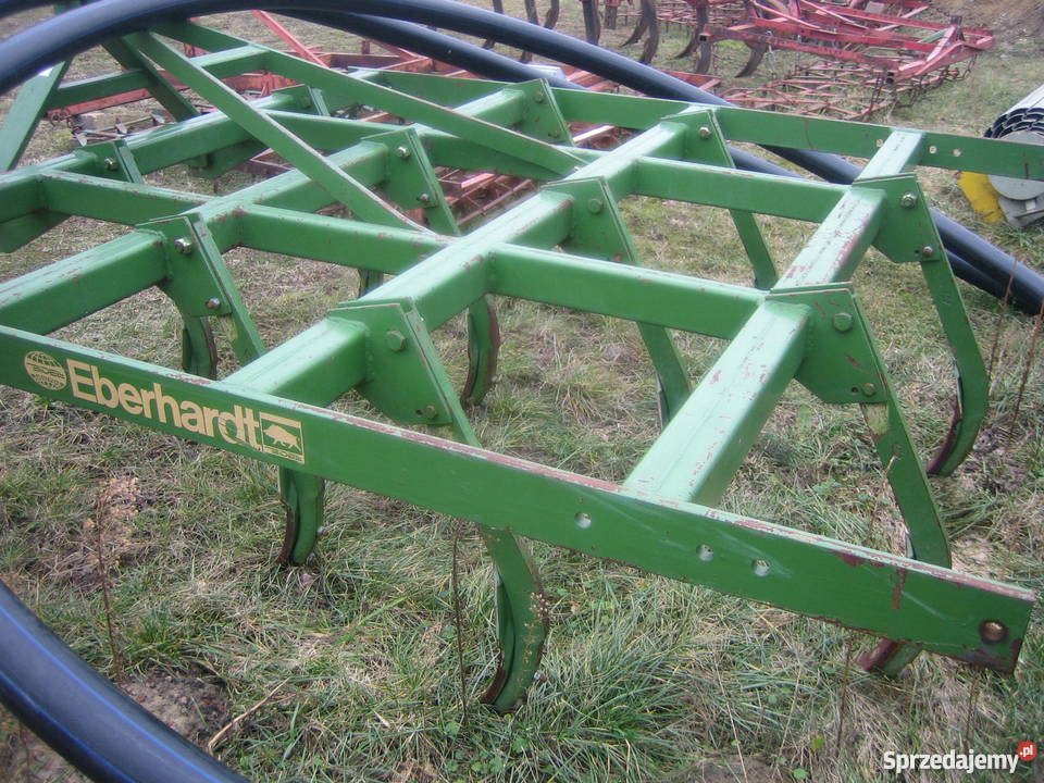 gruber scierniskowy Eberhardt Wola Ociecka