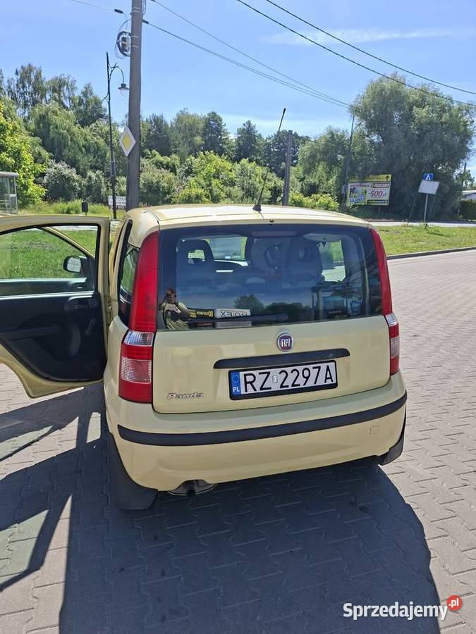 Ładna Panda Tuszyn