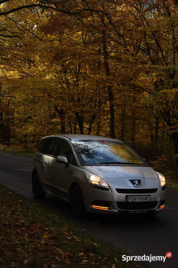 PEUGEOT 5008 wielkopolskie Gniezno