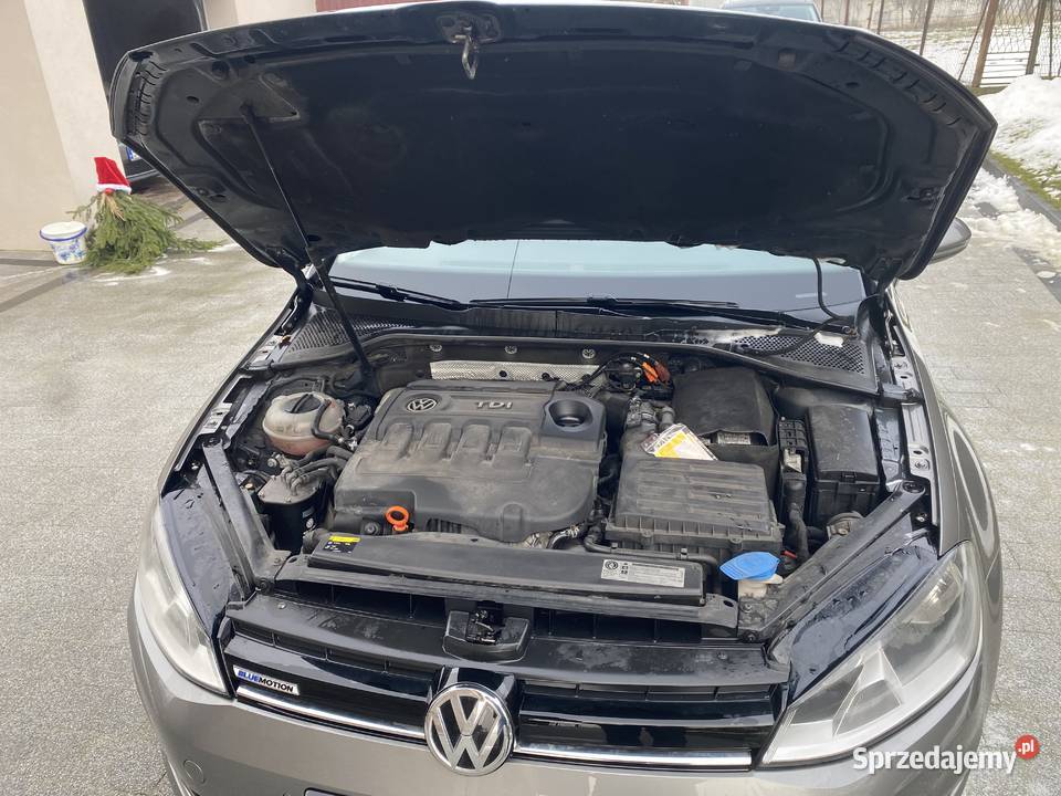 VW Golf VII 16 TDI wersją Comfortline Cieszyn