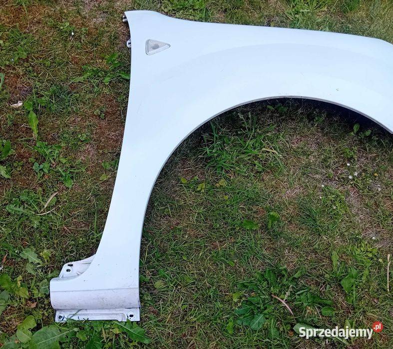 Renault Kangoo II błotnik przedni prawy wielkopolskie Przeźmierowo