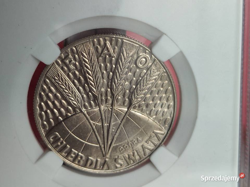 10 1971r FAO Chleb świata Próba w slabie Lębork