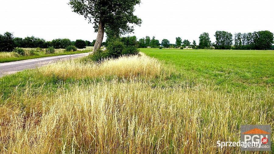Działka Trzebieszewo 3000m2