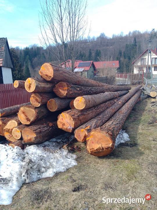 Drzewo tartaczne drewno dłużyca MODRZEW  2 i 3 klasa długie