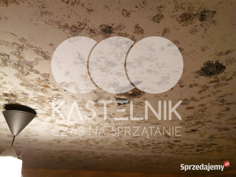 Odgrzybianie ścian Oświęcim Kastelnik Usuwanie