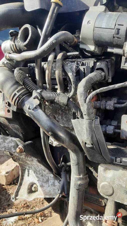 Y22DTR silnik kompletny 22 DTI 125 Opel Vectra C
