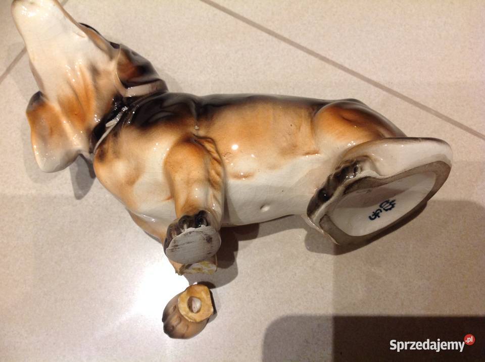 Stara Porcelanowa Figurka Jamnik Pies Sygnowana Nowa Sól