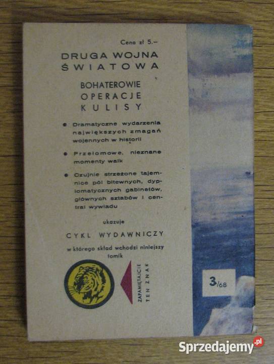 Żółty Tygrys IzabellaFelix 368 Parczew