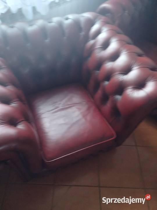 Chesterfield angielski Biała Podlaska