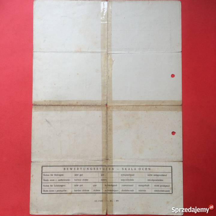 778 Lwów Świadectwo Chrobak Antykwariat