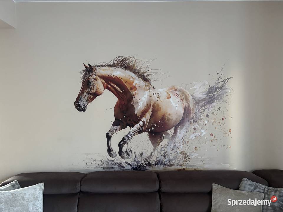 Druk ścienny trwały druk dowolnych grafik śląskie Katowice aranżacje