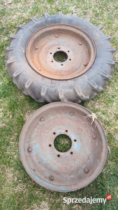 Dzik 21 felgi 16 Pozostałe Grabów