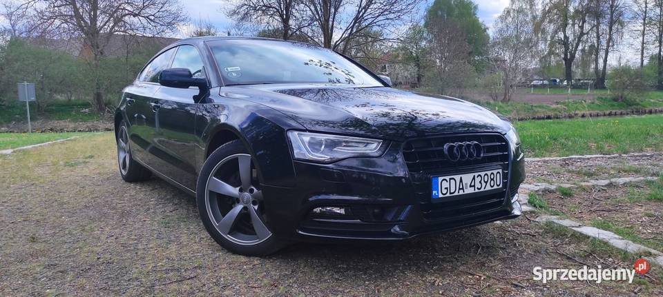 BLACK A5 SPORTBACK 20 TDI 190 BIXENON RADAR 2 komputer pokładowy Suchy Dąb