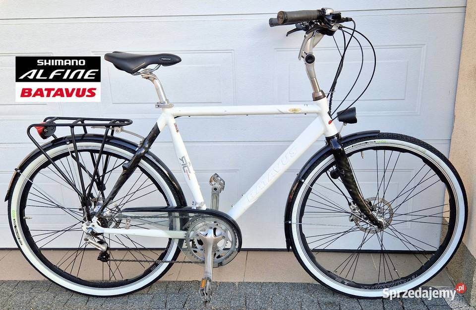 4z batavus shoshone royal class carbon tarcze shimano alfine