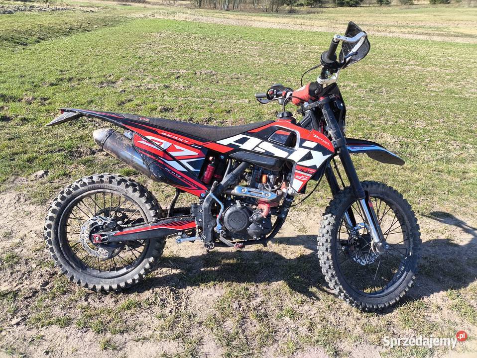 Asix xt97 Brzóza Królewska