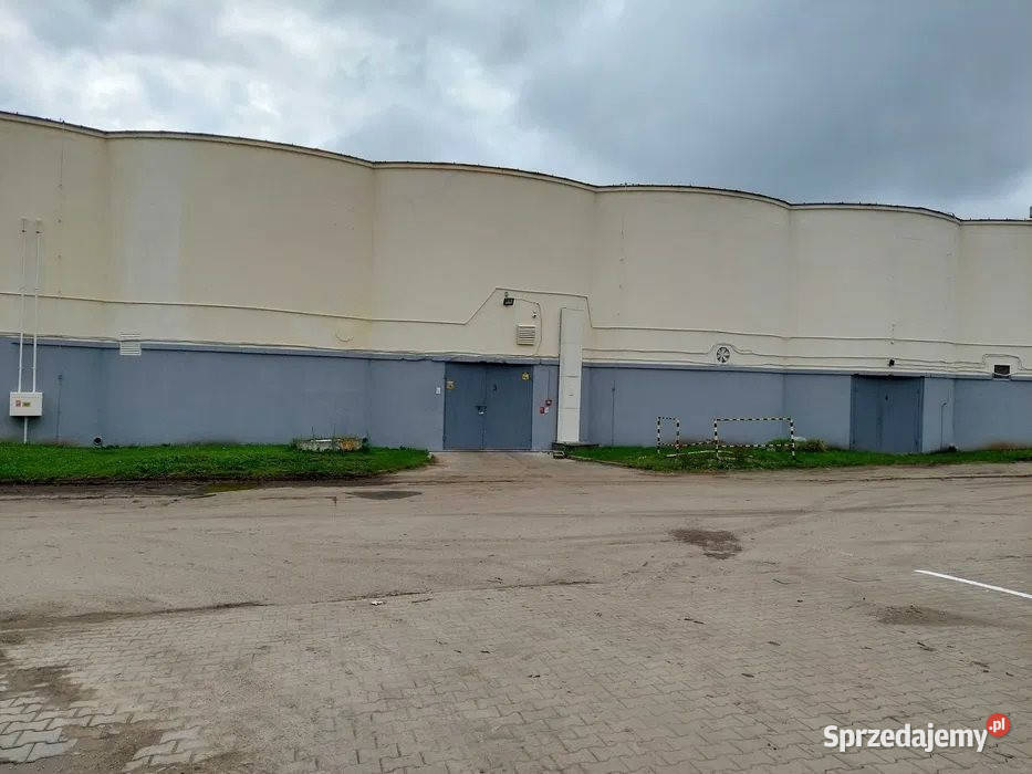 Lokal Kielce 1645m2 świętokrzyskie