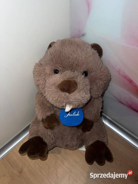 Śliczny Misiu bóbr Julek