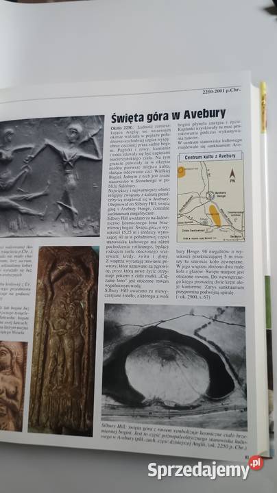 Kronika kobiet Wydanie I 1993 r Wydawnictwo twarda z obwolutą Książki naukowe i popularnonaukowe Kultura i Rozrywka Warszawa