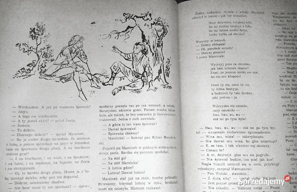 Przypadki starościca Wolskiego Tom 2 Józef Hen Pozostałe Chełm