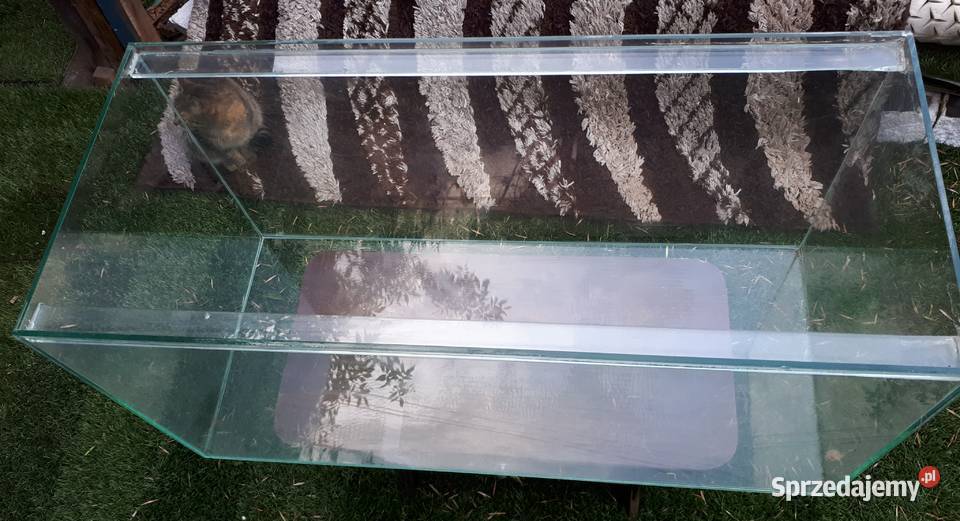 Akwarium 80l Akwarystyka Częstochowa