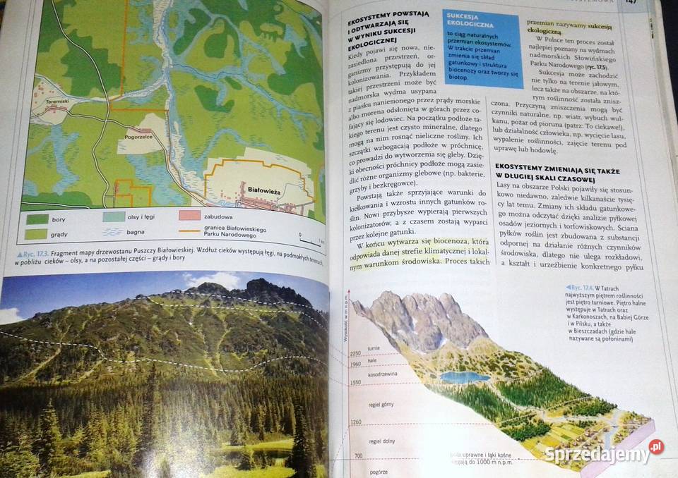 prostu biologia Karolina Archacka Rafał Pozostałe Chełm sprzedam