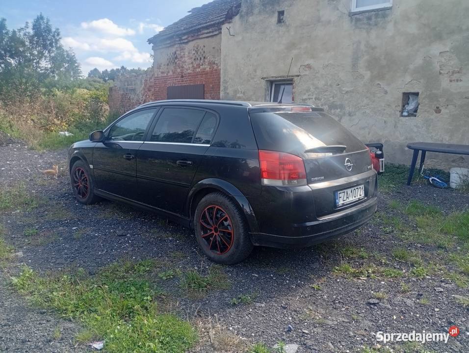 Opel Signum 19 CDTI 150 Nysa sprzedam
