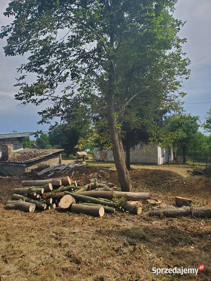 Dom siedlisko Lubartów sprzedam