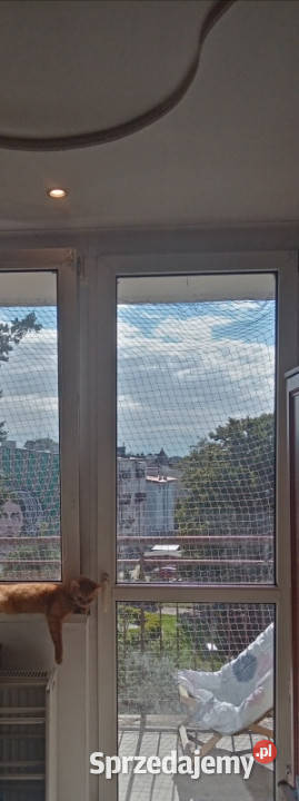 Mieszkanie w centrum 48m2 Brodnica sprzedam