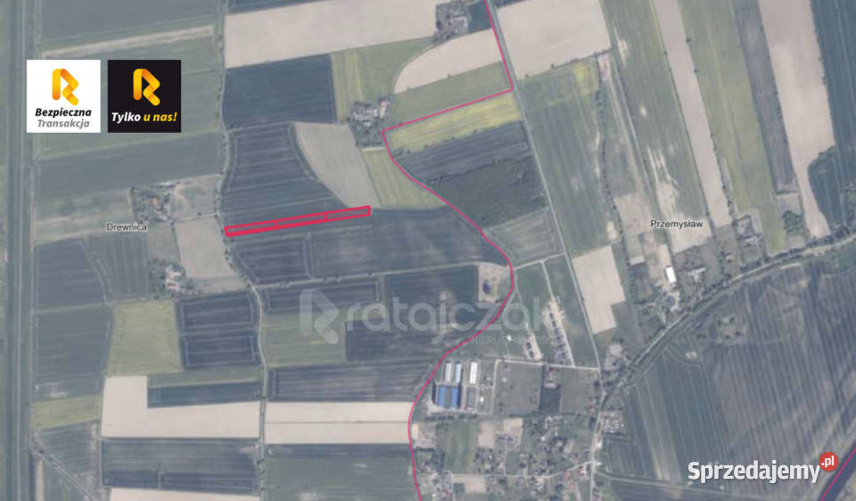 Grunt Drewnica Wierzbowa 3012m2