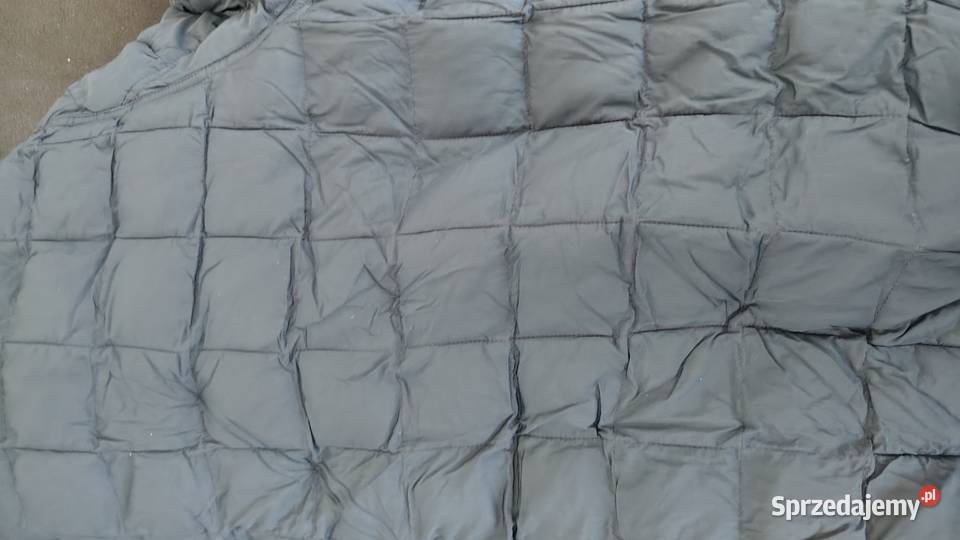 Kurtka firmy Timberland Wiosenna/Jesienna