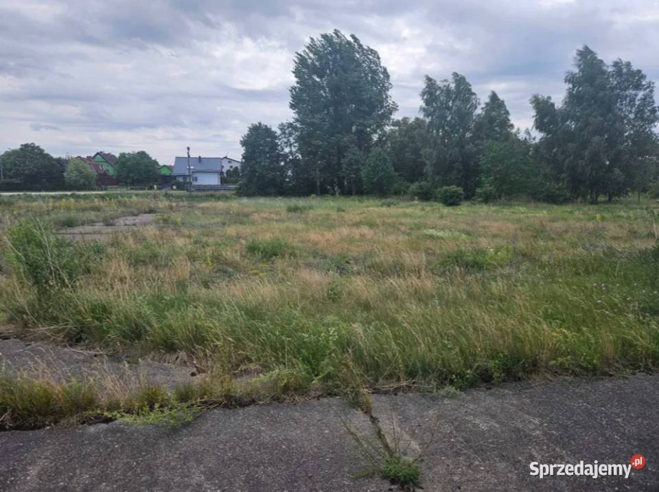 Plac utwardzony wynajem 0m2 Czersk