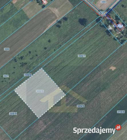 Działka w Chrośnie gmina Kołbiel Chrosna