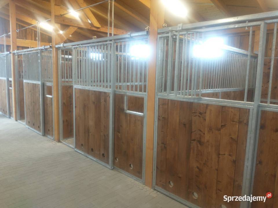 Boksy koni wielkopolskie Gniezno