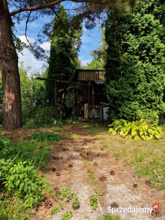 Działka Rekreacyjna ROD 500m2 Paluch 1 Włochy Warszawa