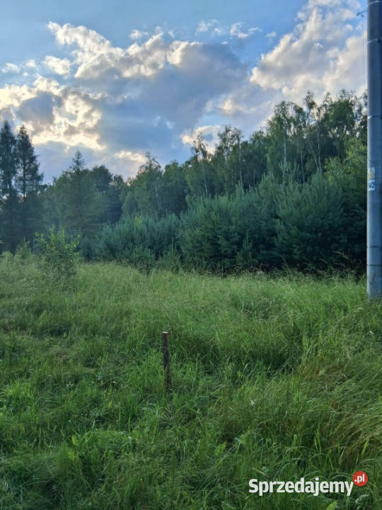 Działka budowlana lesie na sprzedaż 800m2 12 budowlana Kranów
