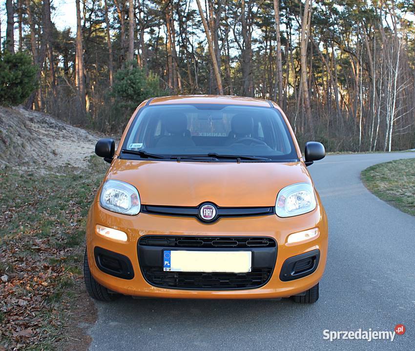 Fiat Panda 12 Klima Salon Polska 1 Właściciel nieuszkodzony Kłaj