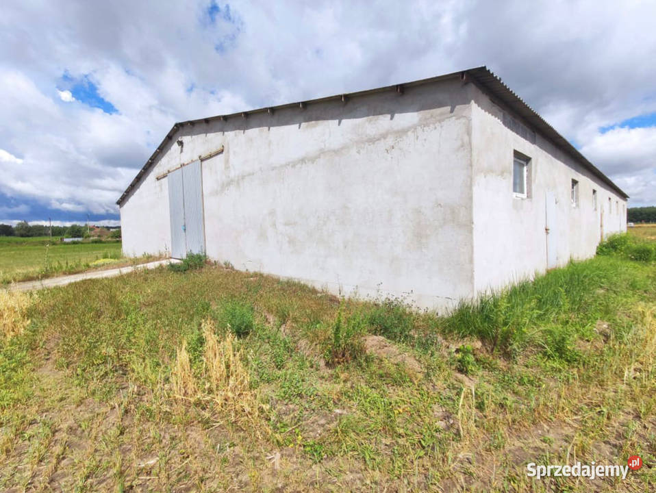 Syndyk sprzeda nieruchomość zabudowaną Nowa Wieś kujawsko-pomorskie