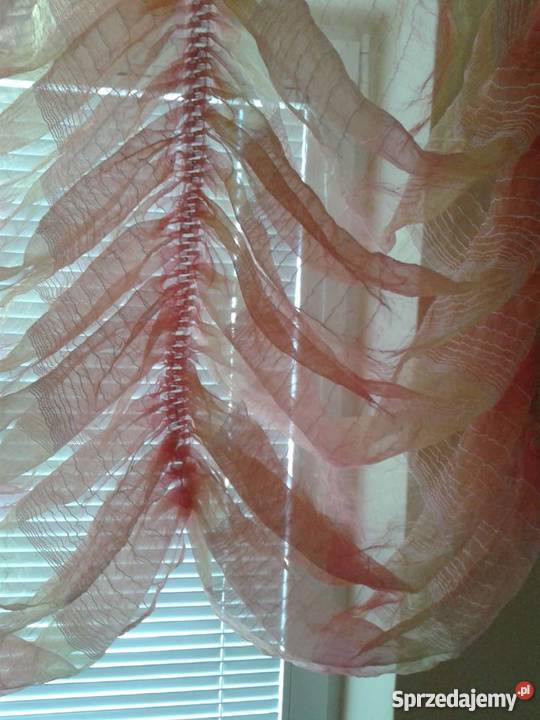 Firanka z organzy dolnośląskie Lubin