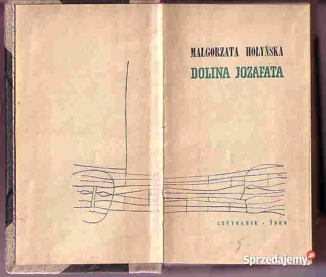 4293 DOLINA JOZAFATA MAŁGORZATA HOŁYŃSKA