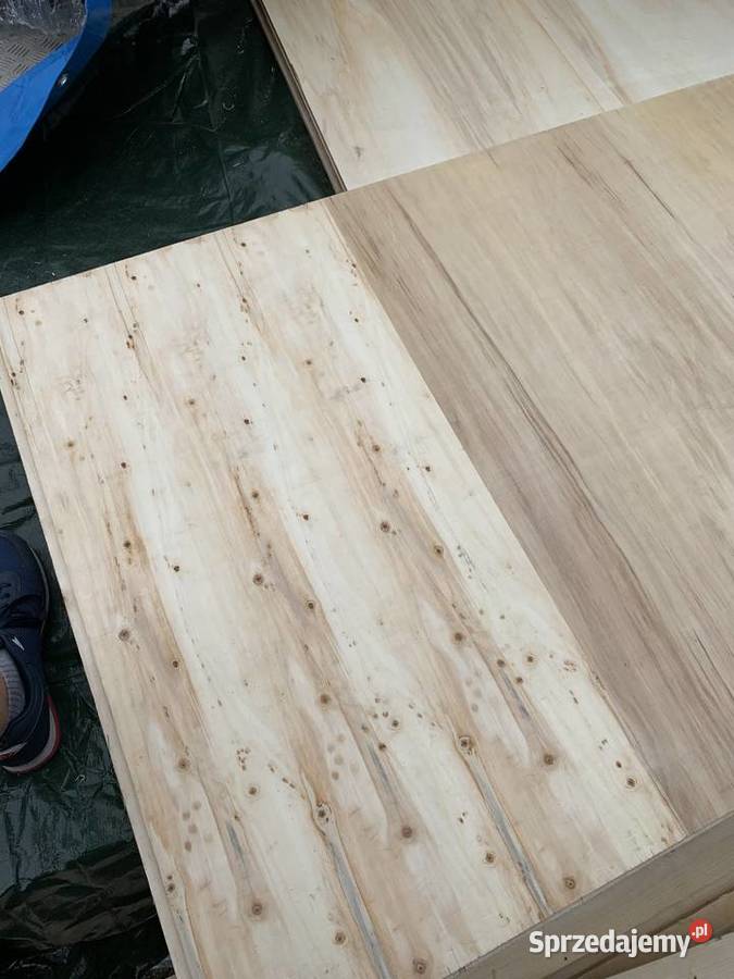 Sklejka lll klasa warmińsko-mazurskie sprzedam