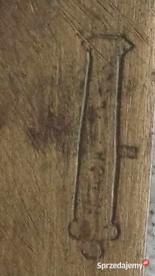 Kordzik altylerski Lubartów